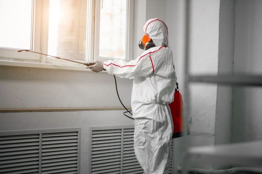 Professional mold remediation services in Cold Spring, MN